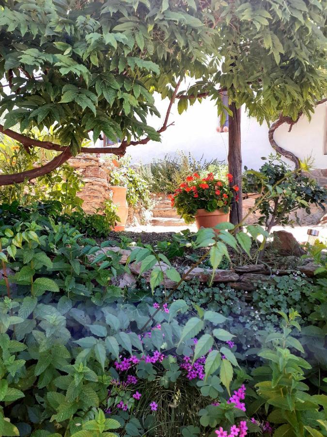 Cortijo Los Maximos Turon Luaran gambar