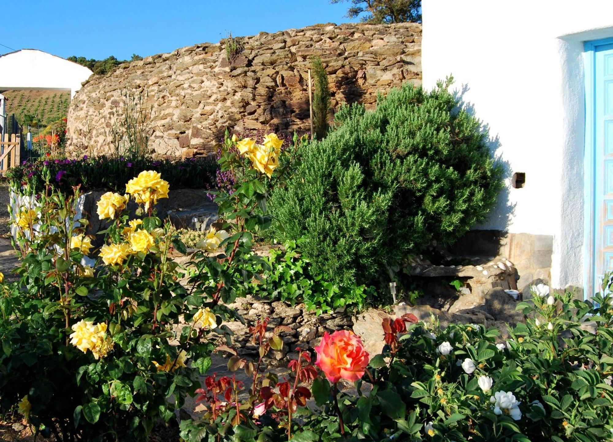 Cortijo Los Maximos Turon Luaran gambar