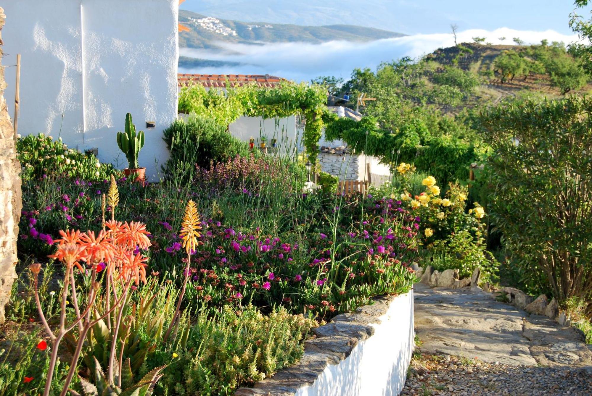 Cortijo Los Maximos Turon Luaran gambar