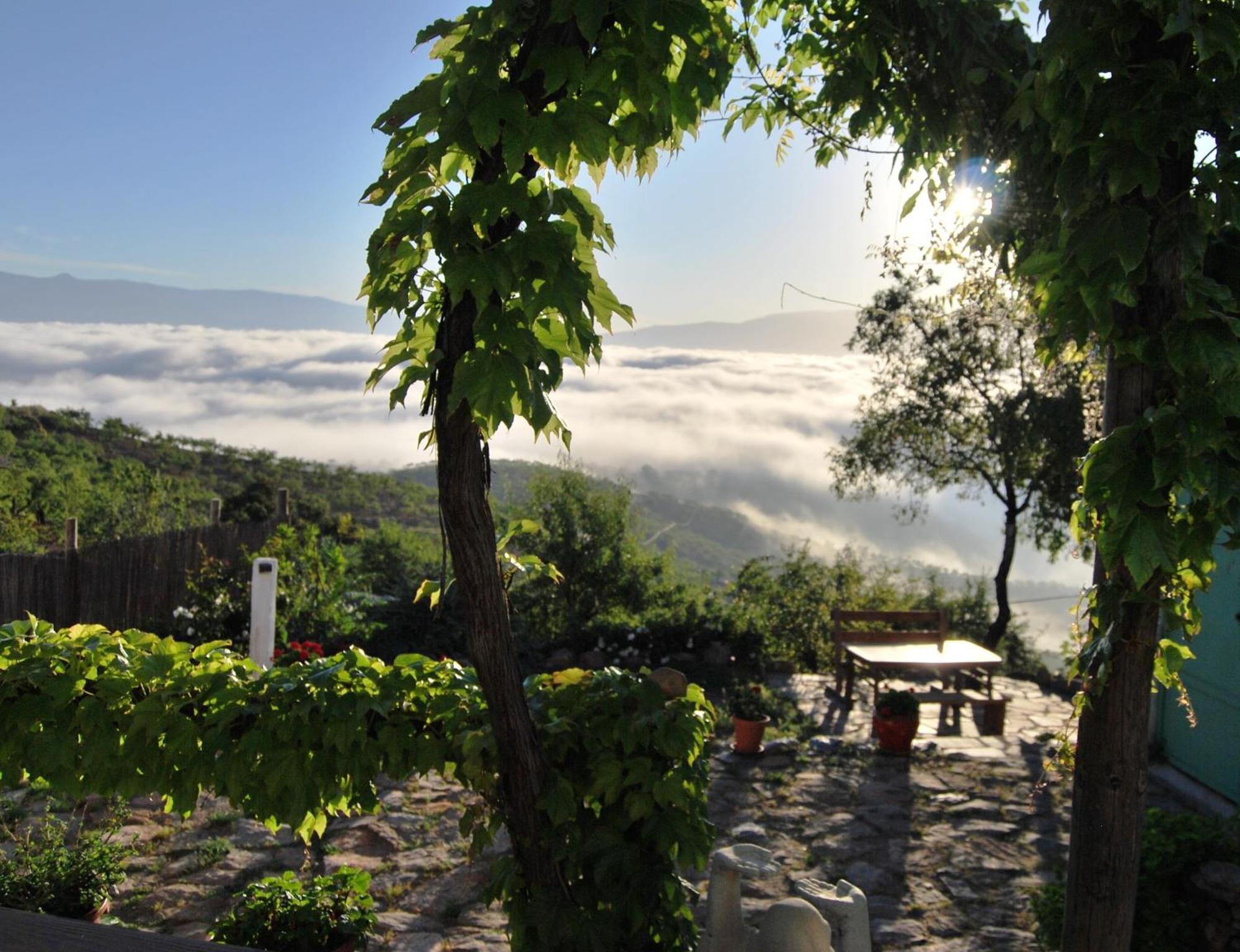 Cortijo Los Maximos Turon Luaran gambar