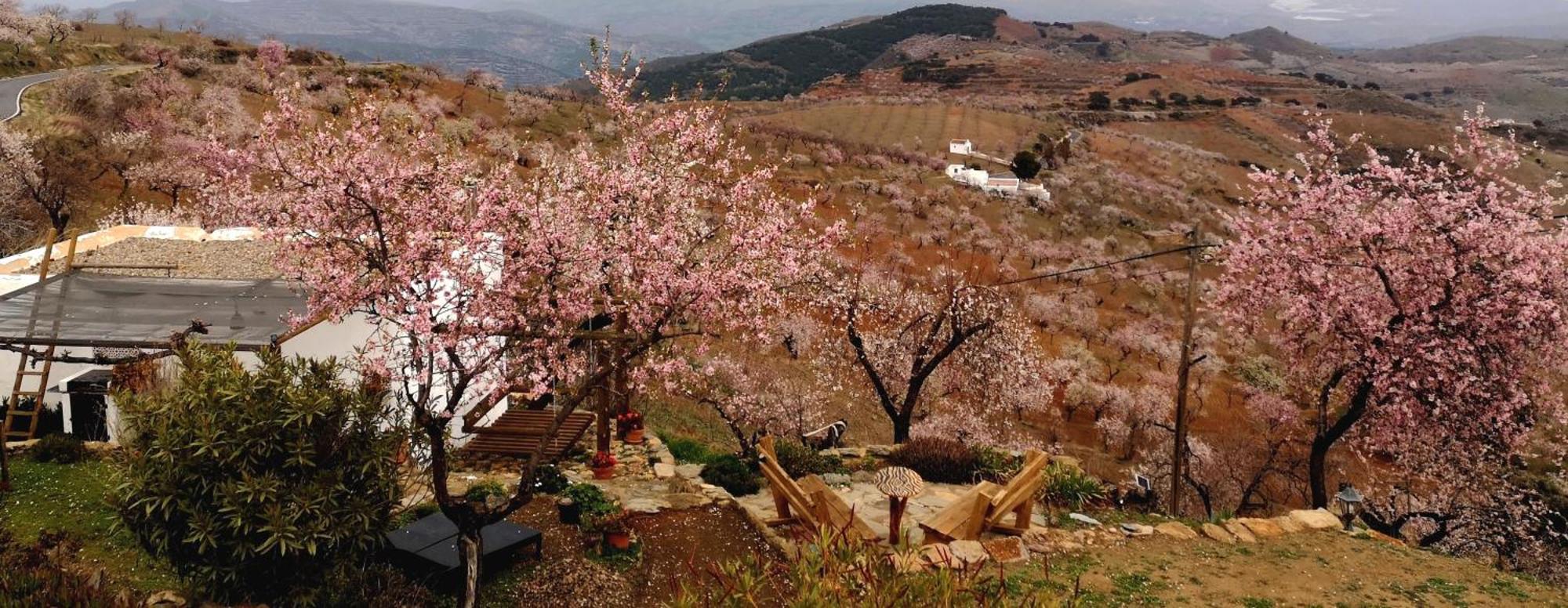 Cortijo Los Maximos Turon Luaran gambar