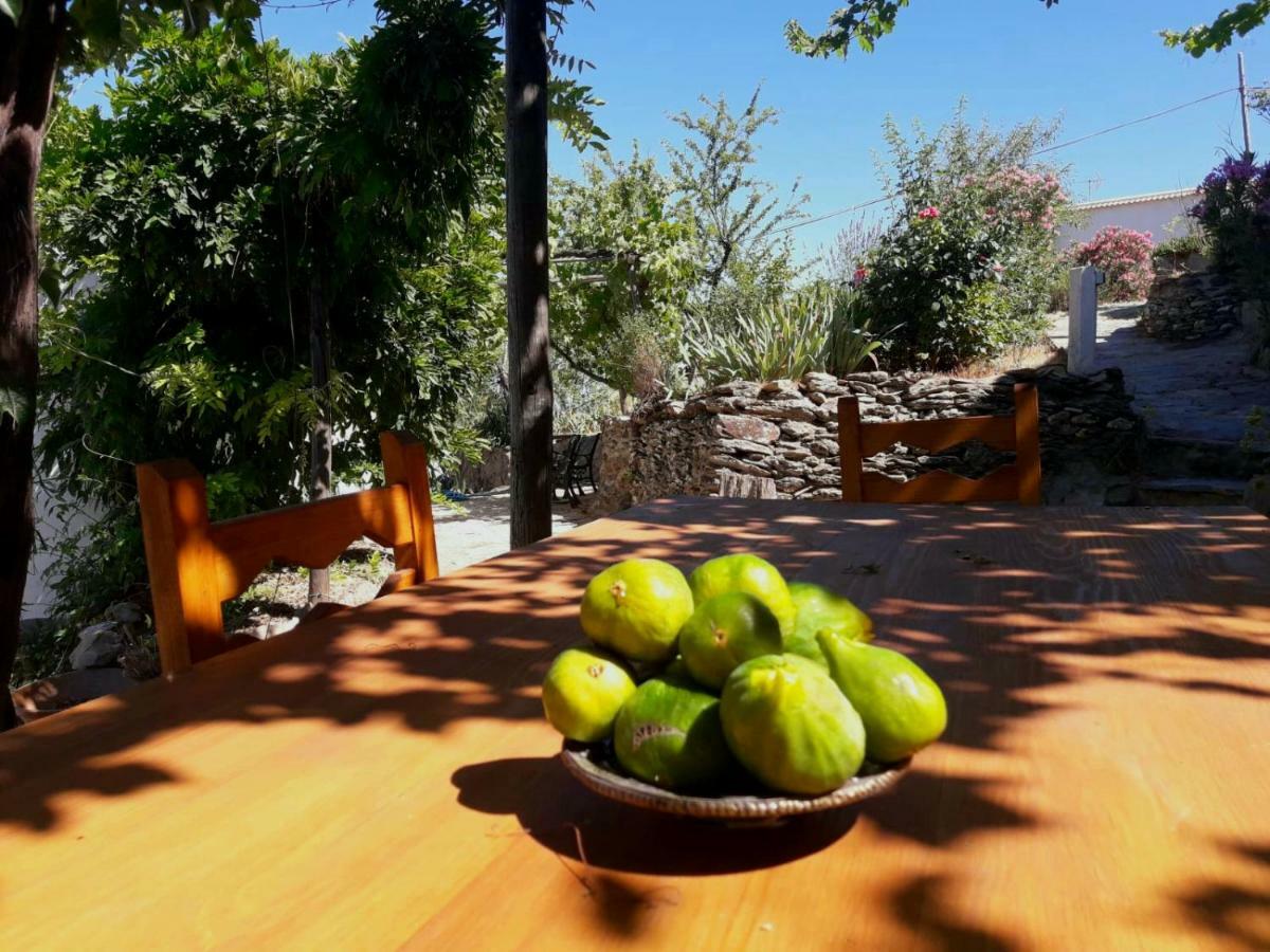 Cortijo Los Maximos Turon Luaran gambar
